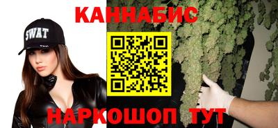гидра Шебекино