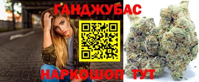 молекула духа Шелехов