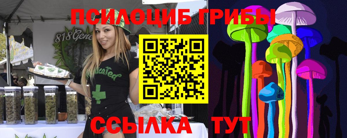 Псилоцибиновые грибы Cubensis  Вход с VPN  Тула 