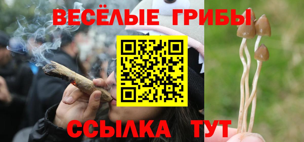 Галлюциногенные грибы Magic Shrooms Тула